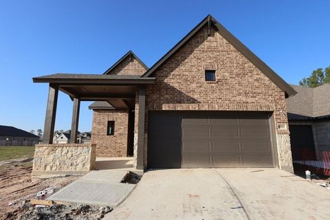 Photo of 8955 Blackwoods Court, Porter, TX 77365 (MLS # 76231029)
