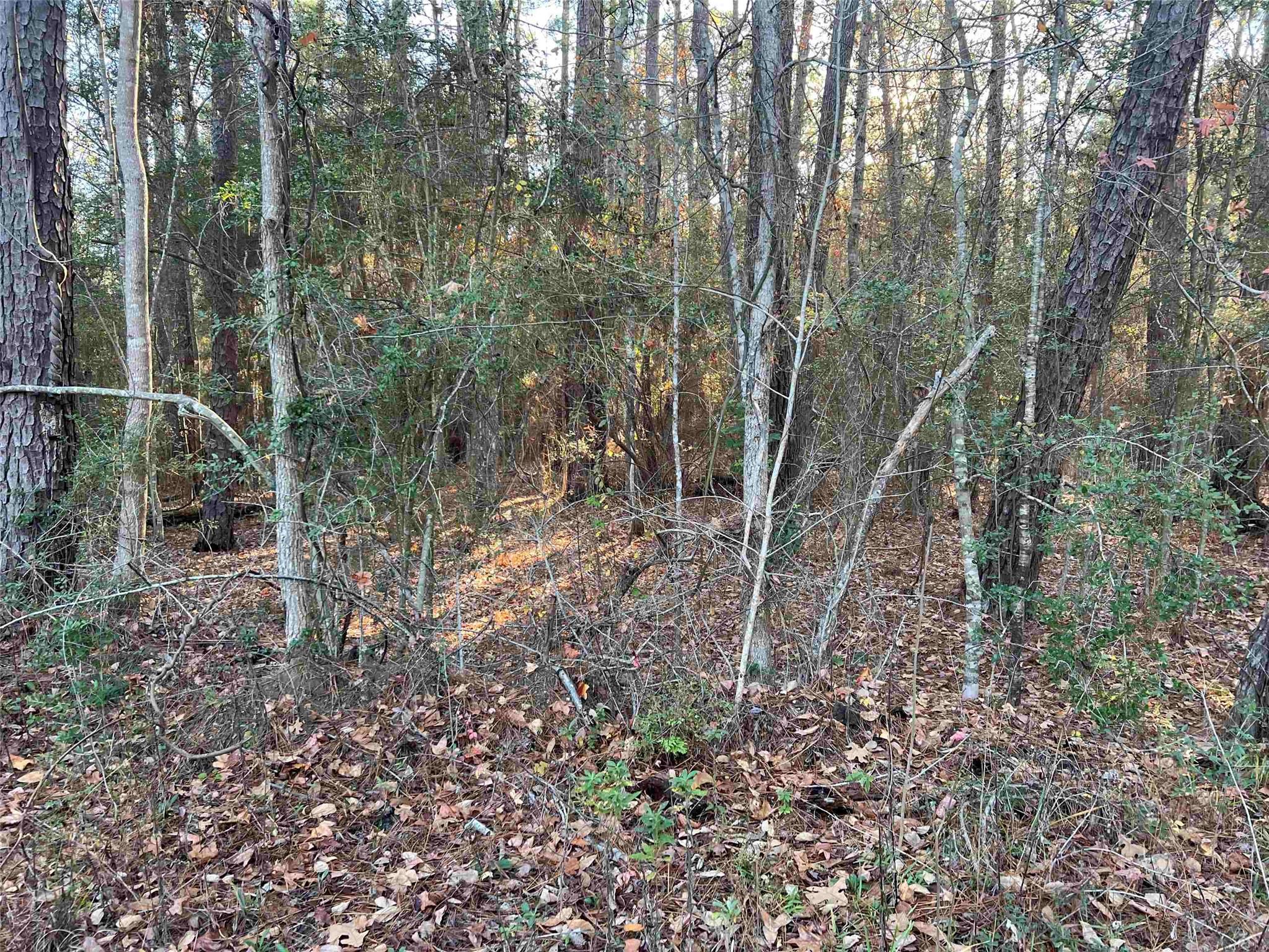 051 Inglewood Drive E