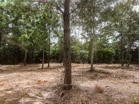 Photo of 13553 County Road 446, Navasota, TX 77868 (MLS # 39916969) Photo of 13553 County Road 446, Navasota, TX 77868 (MLS # 39916969)