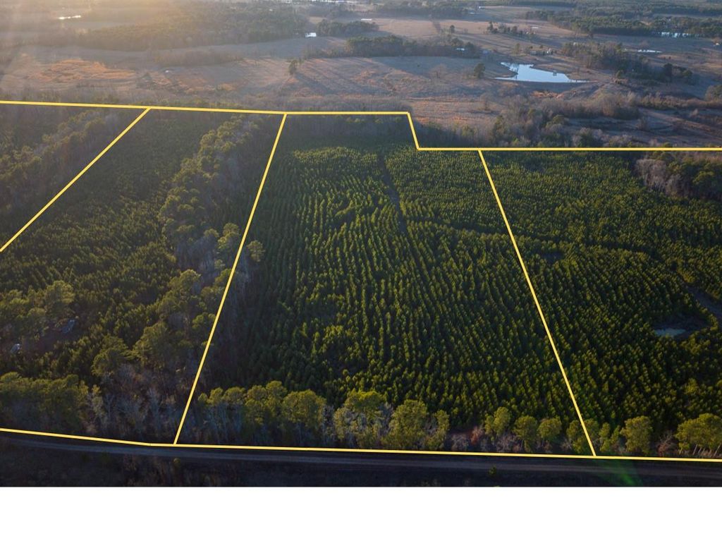 Photo of 6 Cr 4415, Annona, TX 75559 (MLS # 29878080)