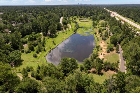 Tiny photo for 142 Golden Autumn Place, The Woodlands, TX 77384 (MLS # 17539546)