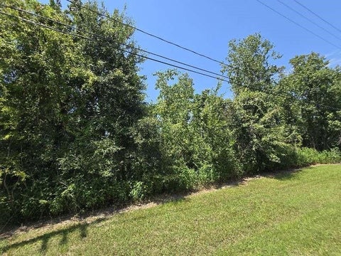 Photo of 19007 Rio Villa Drive, Houston, TX 77049 (MLS # 77689857)
