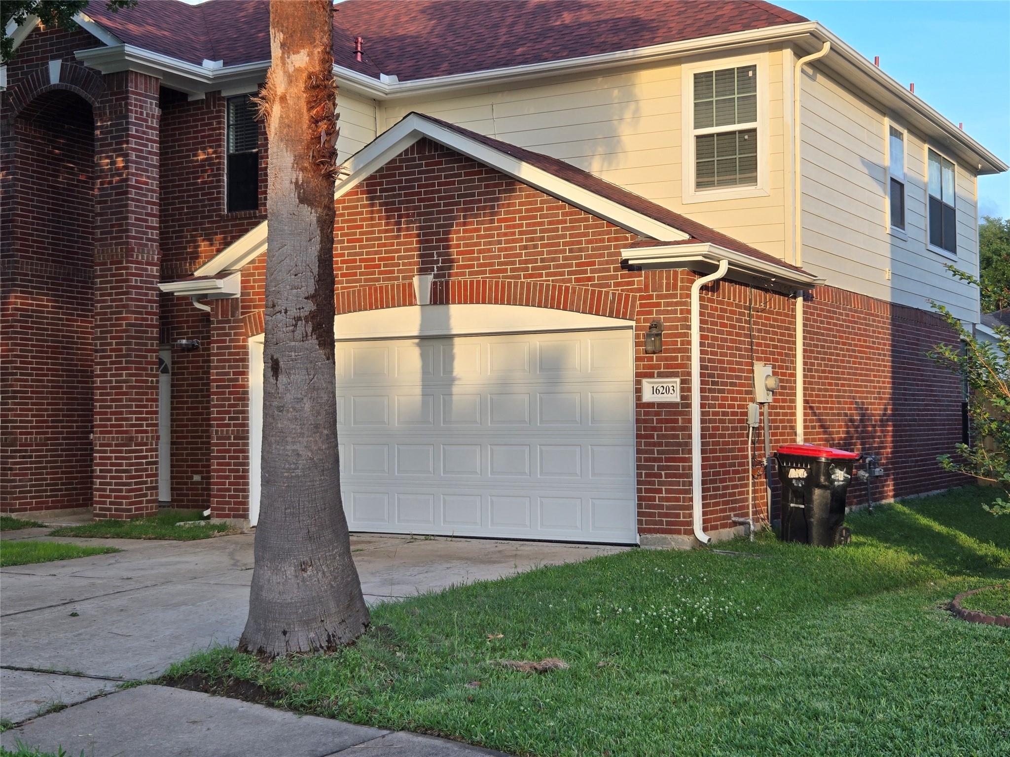16203 Dryberry