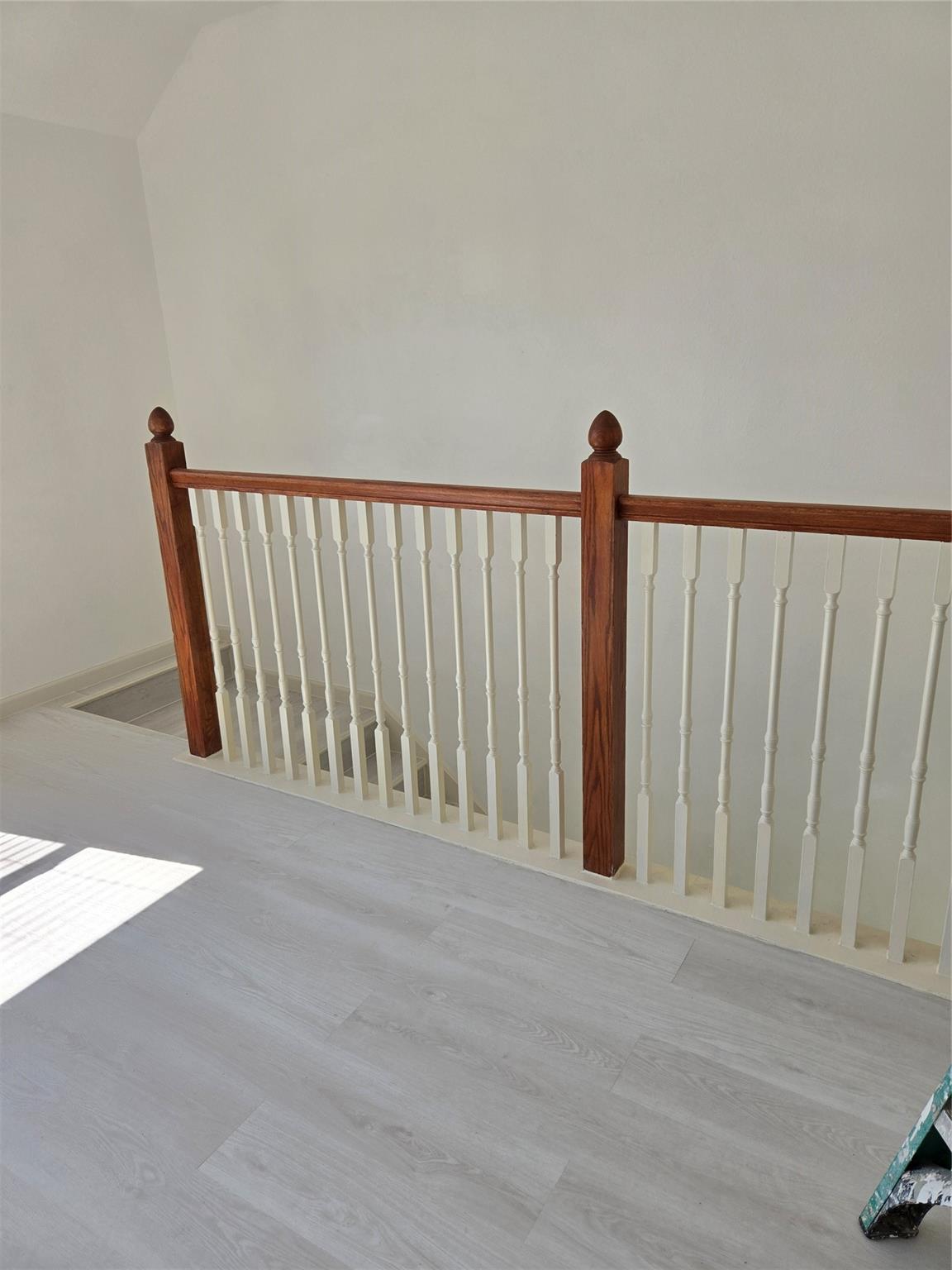 16203 Dryberry