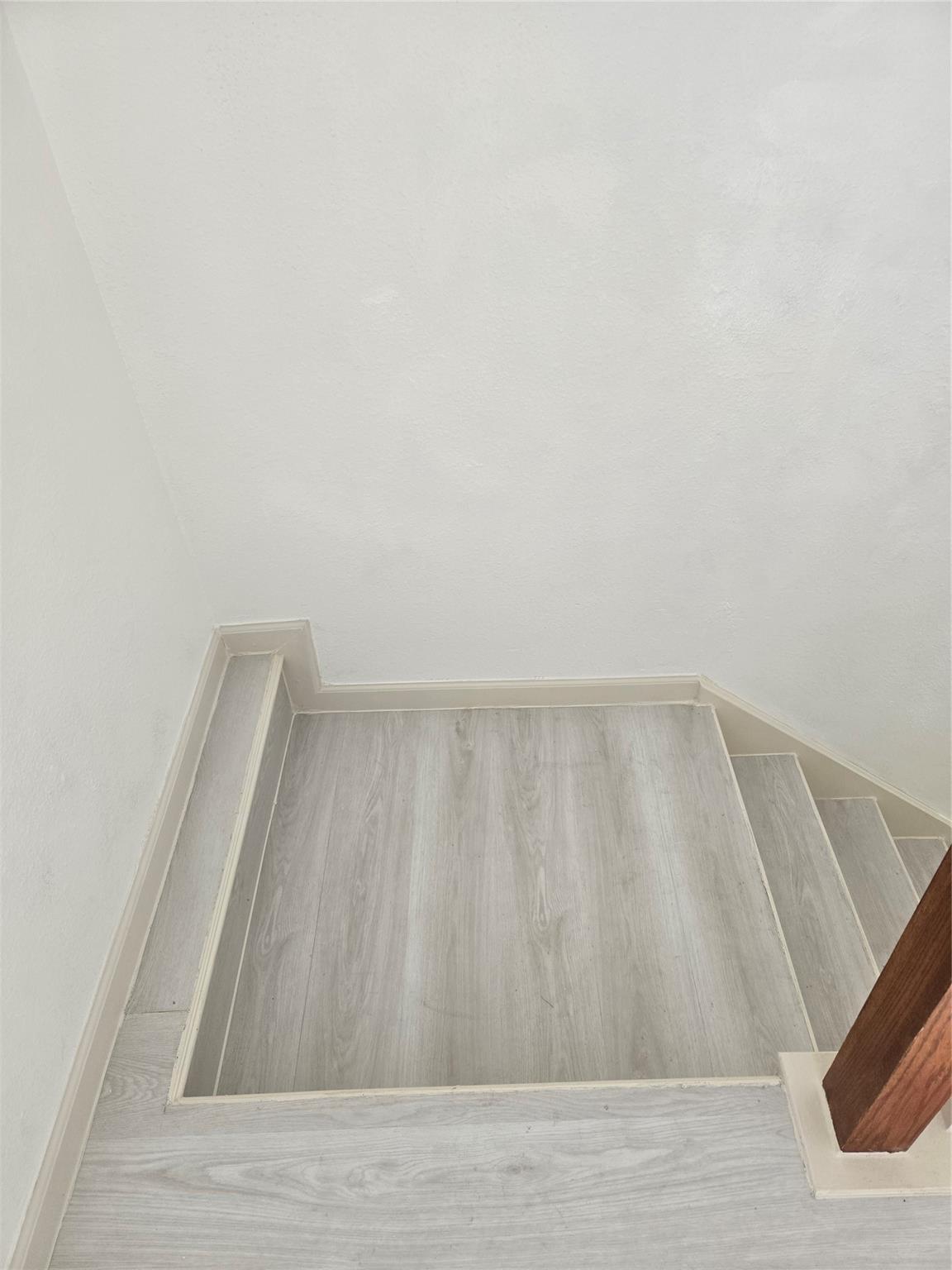 16203 Dryberry