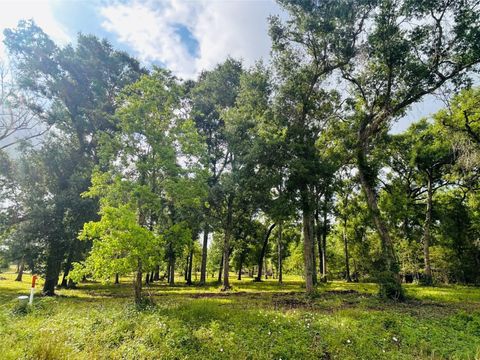 Photo of 1214 Chuckwagon Court, Angleton, TX 77515 (MLS # 40269807)