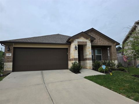 Photo of 229 Cresta Cove Court, Conroe, TX 77316 (MLS # 65334878)