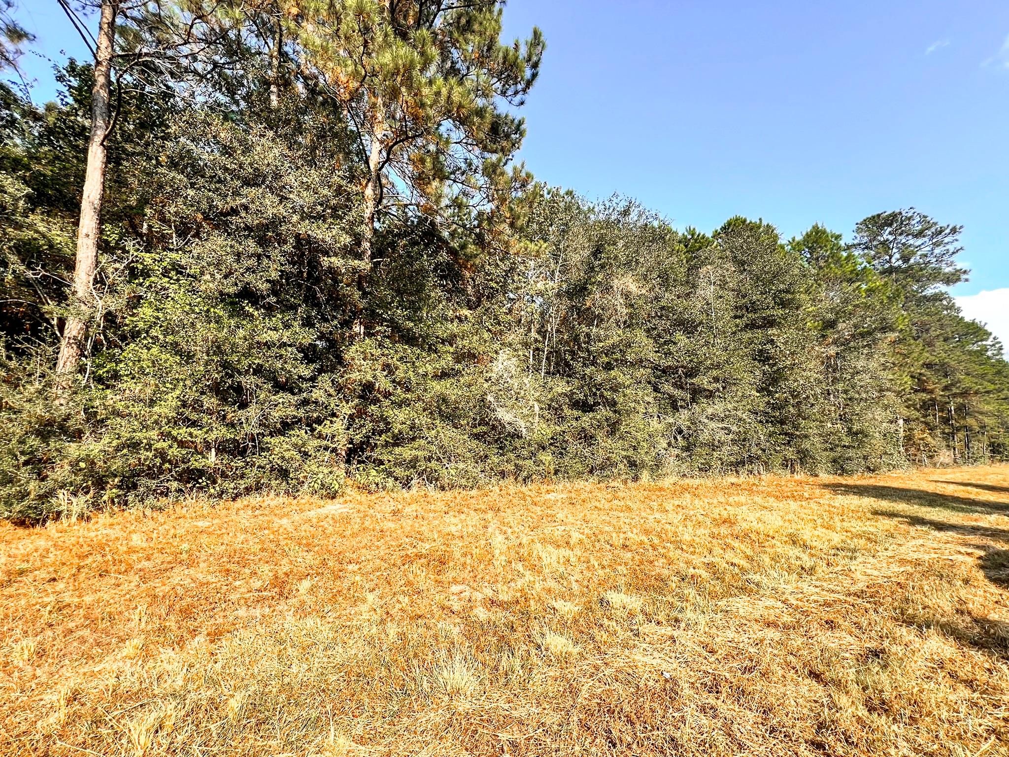 5-24-33 Lonestar Road