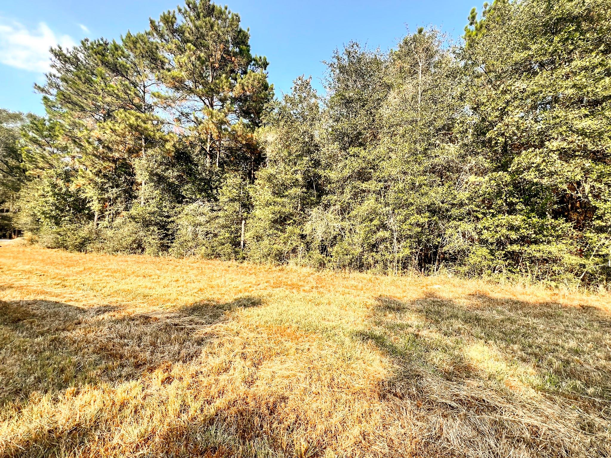 5-24-33 Lonestar Road