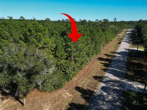 Photo of 5 Lonestar Road, Huntsville, TX 77340 (MLS # 98737781)