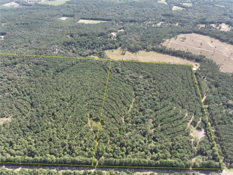 Vacant Land For Sale - T-7 Fm 256<br/> Woodville, TX 75979