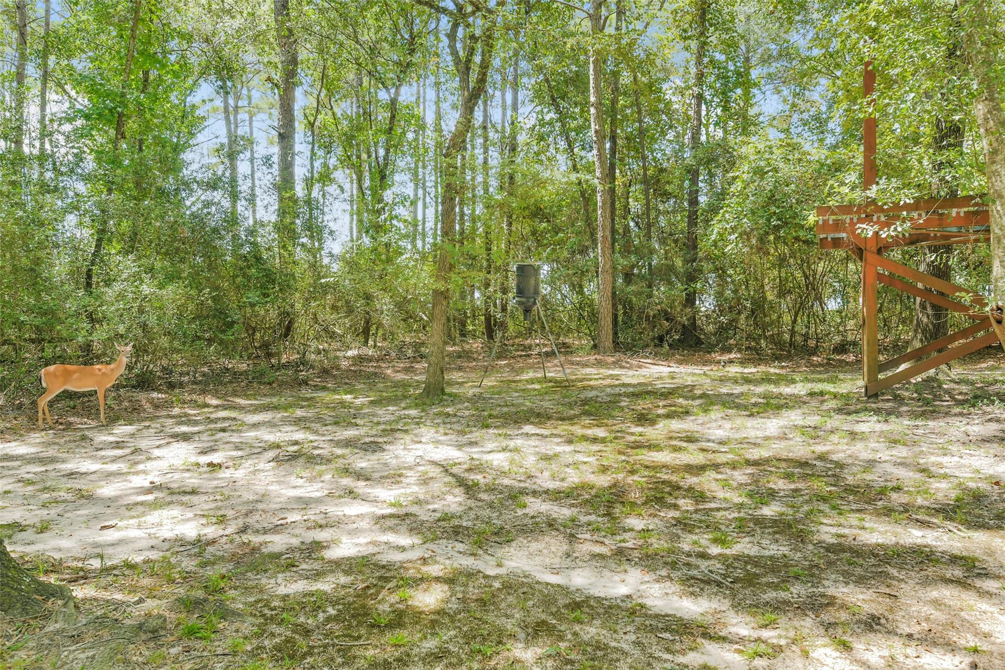 4046 Highland Pass