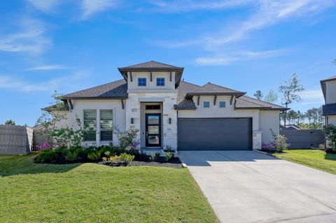 Homes For Sale - 17801 Parnassum Path<br/> Conroe, TX 77302