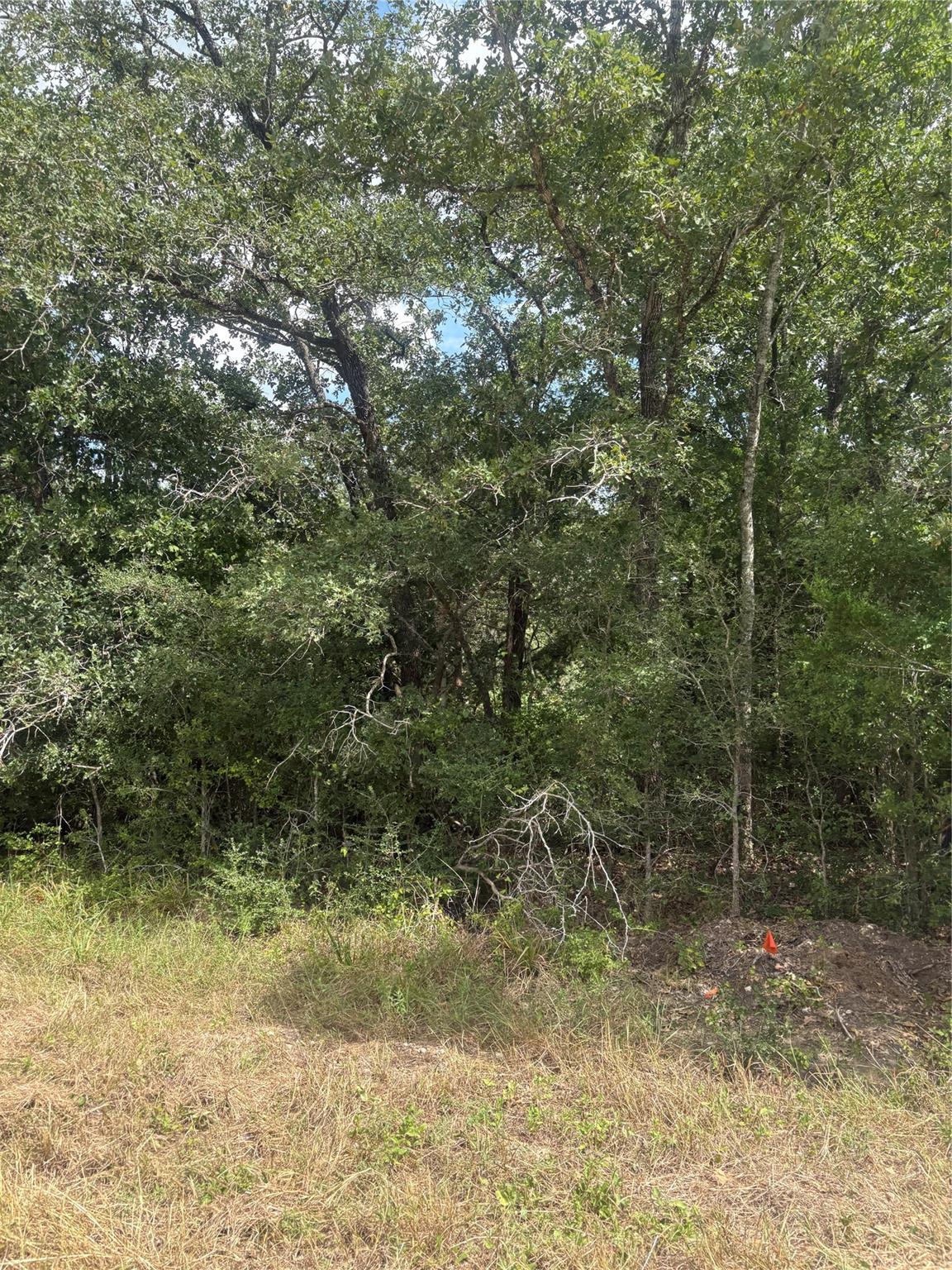 3450 Overlook Rd