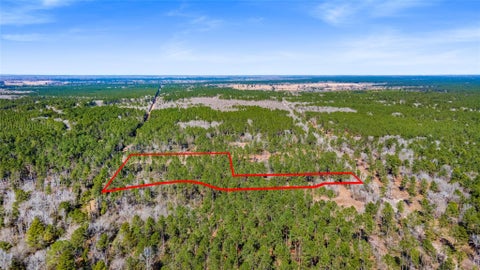 Vacant Land For Sale - Bo Brown<br/> Trinity, TX 75862