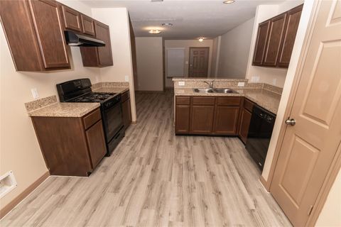 Photo of 6206 El Granate Drive, Houston, TX 77048 (MLS # 98335724)