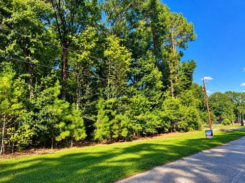 Photo of 19335 Serpenteer Drive, Porter, TX 77365 (MLS # 3899574)
