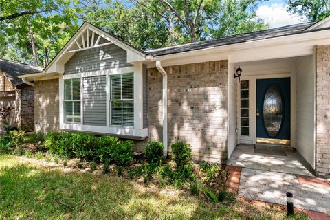 Photo of 9 Brentwood Oaks Court, Spring, TX 77381 (MLS # 98680300)