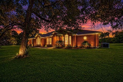 Photo of 13334 W Brazos Bend Drive, Needville, TX 77461 (MLS # 59852714)