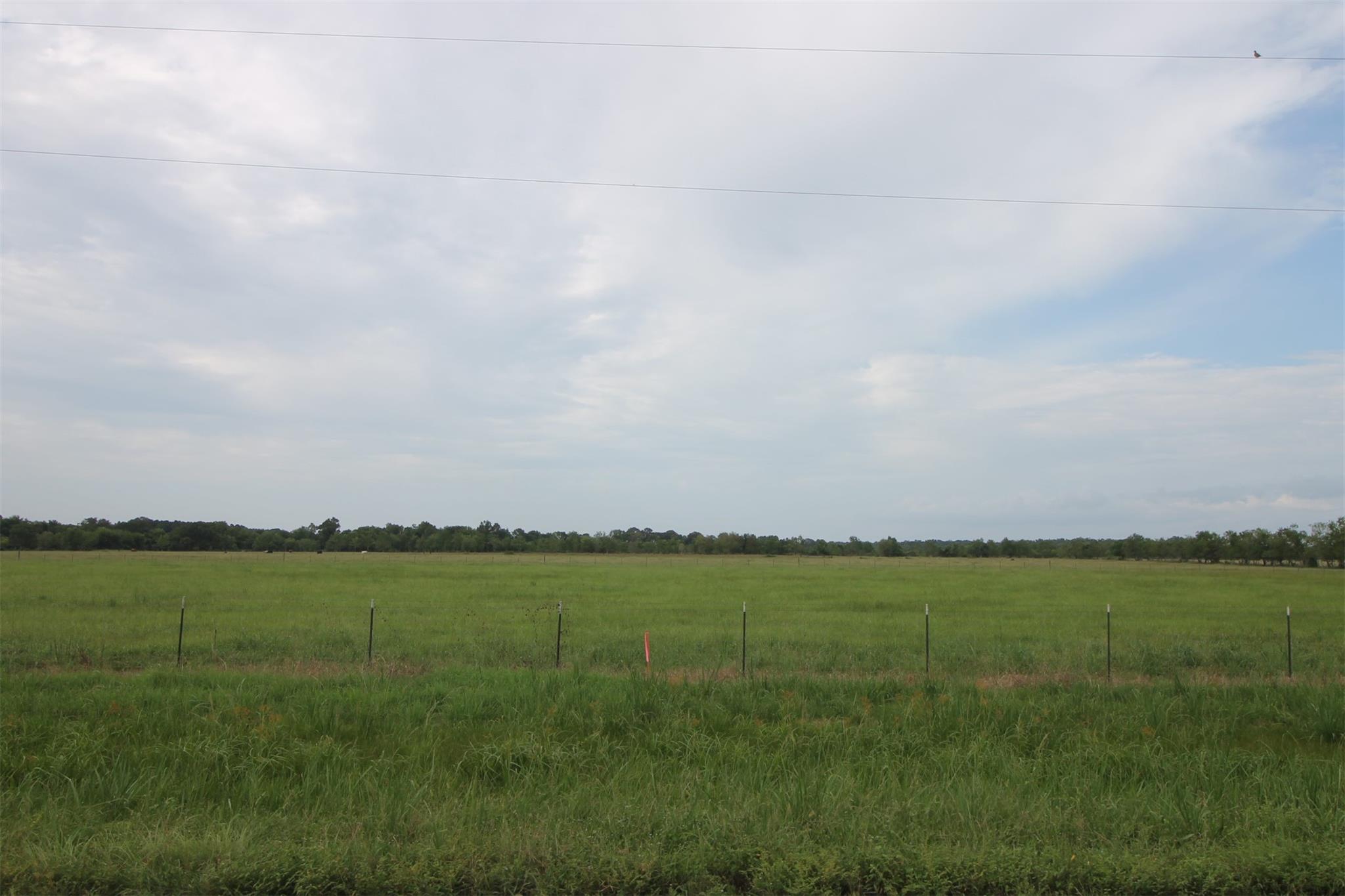 TBD Farm Market 2830