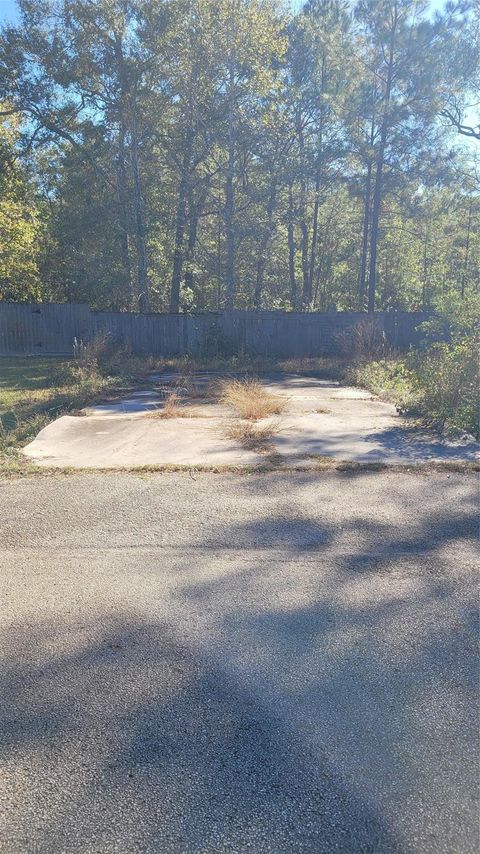 Photo of 16549 E Emerson Circle, Conroe, TX 77306 (MLS # 18356492)