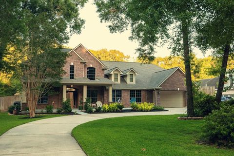 Photo of 22865 Delta Drive, Porter, TX 77365 (MLS # 4920032)