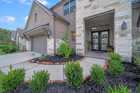 222 Patina Sorrel Drive Montgomery TX 77316