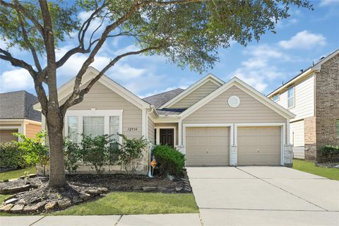 12934 Palm Leaf Court Houston TX 77044