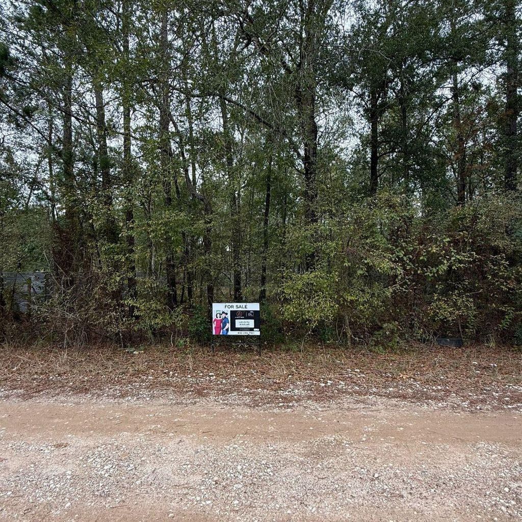 Photo of 19164 Suffolk, New Caney, TX 77357 (MLS # 63079835)