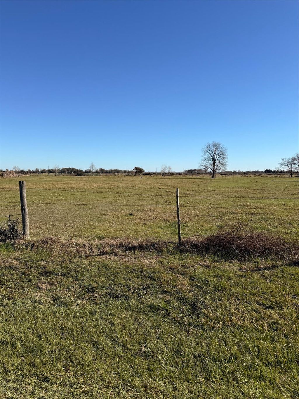 Photo of 17507 Brumbelow Road, Needville, TX 77461 (MLS # 88529208)