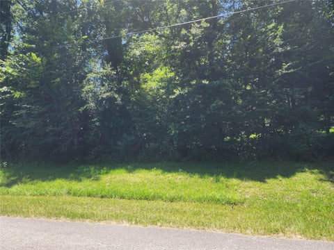 Vacant Land For Sale - TBD Northwoods Drive Drive<br/> Point Blank, TX 77364