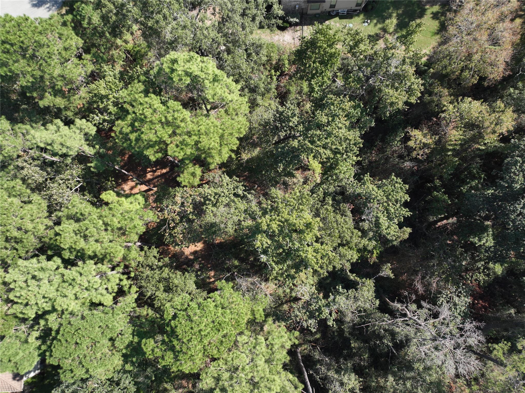 4242 Starling Stream Drive