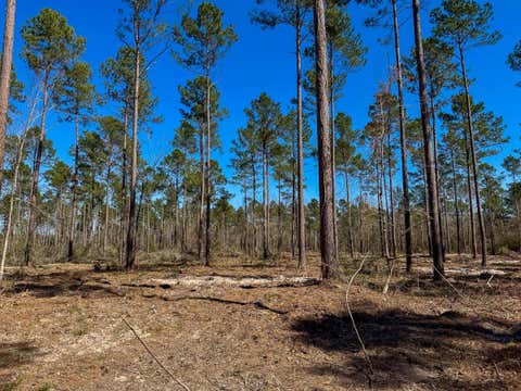 Photo of 2 Boontown Road, Trinity, TX 75845 (MLS # 27540855)