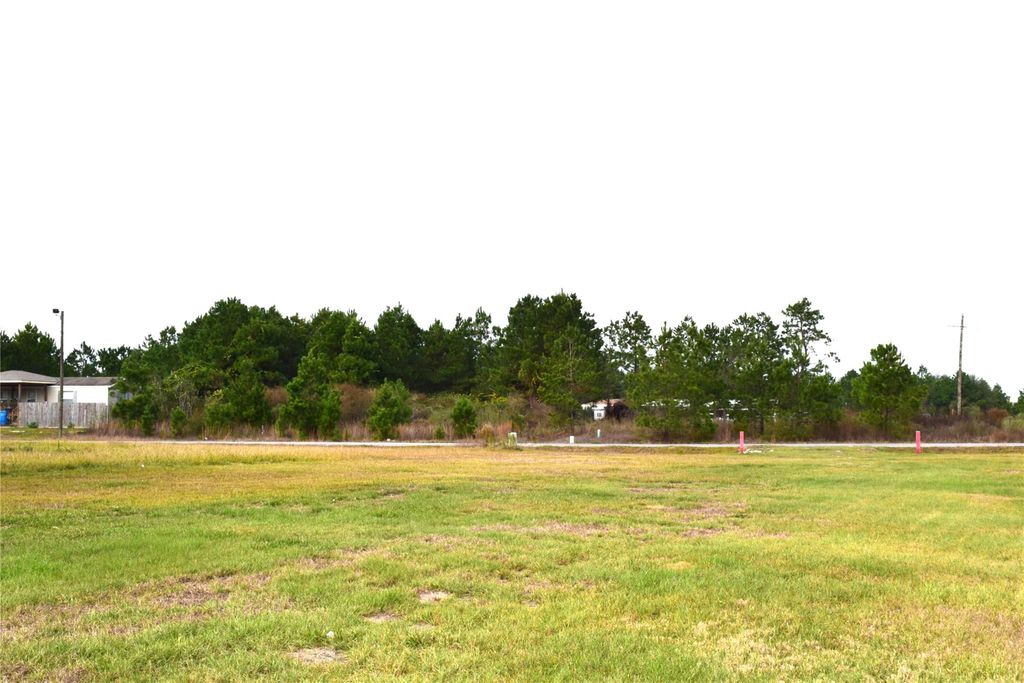 Photo of 1129 County Road 5100, Cleveland, TX 77327 (MLS # 22788928)