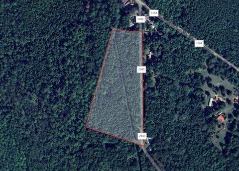 Vacant Land For Sale - 214 County Rd 2940<br/> Shelbyville, TX 75973