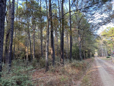 Photo of 214 County Rd 2940, Shelbyville, TX 75973 (MLS # 4847884)