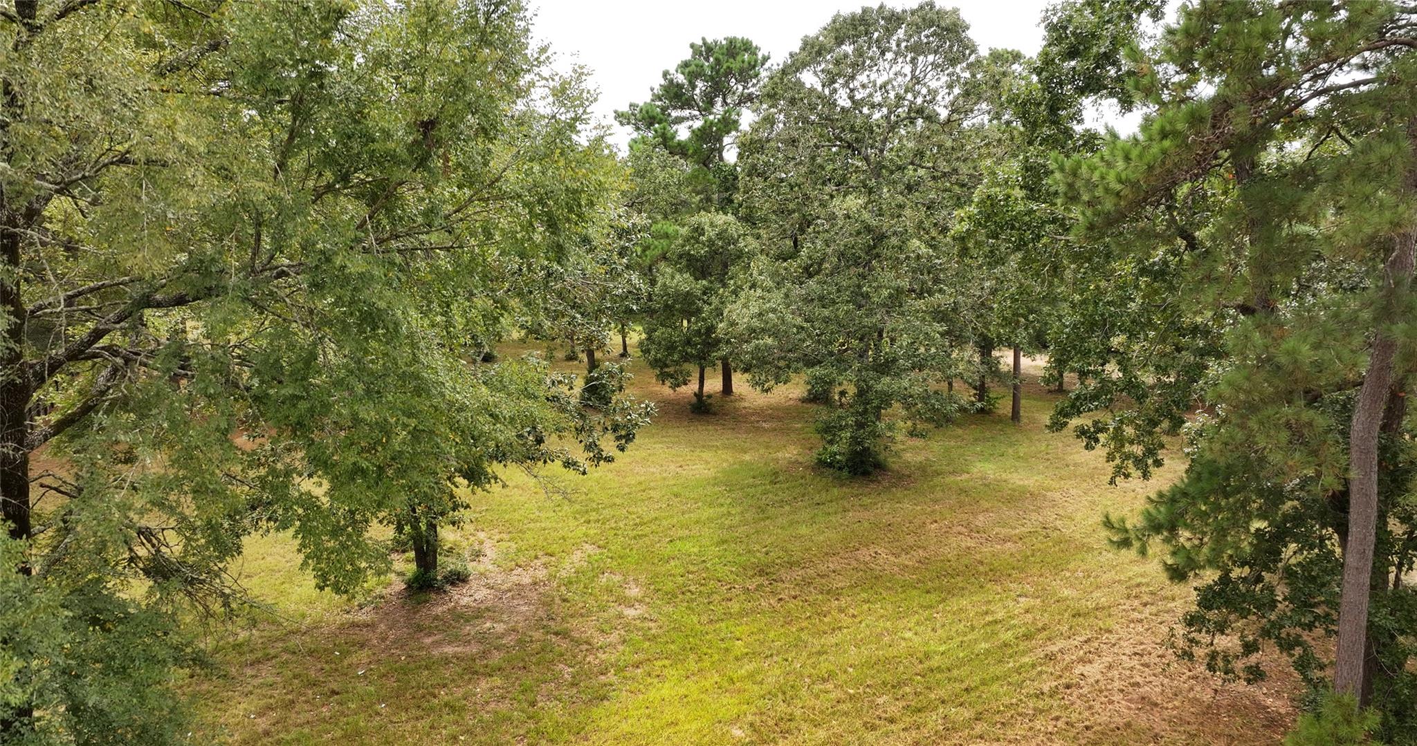 26173 Crown Ranch Boulevard