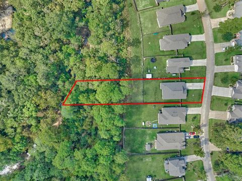 Photo of 12139 La Salle River Road, Conroe, TX 77304 (MLS # 72129303)