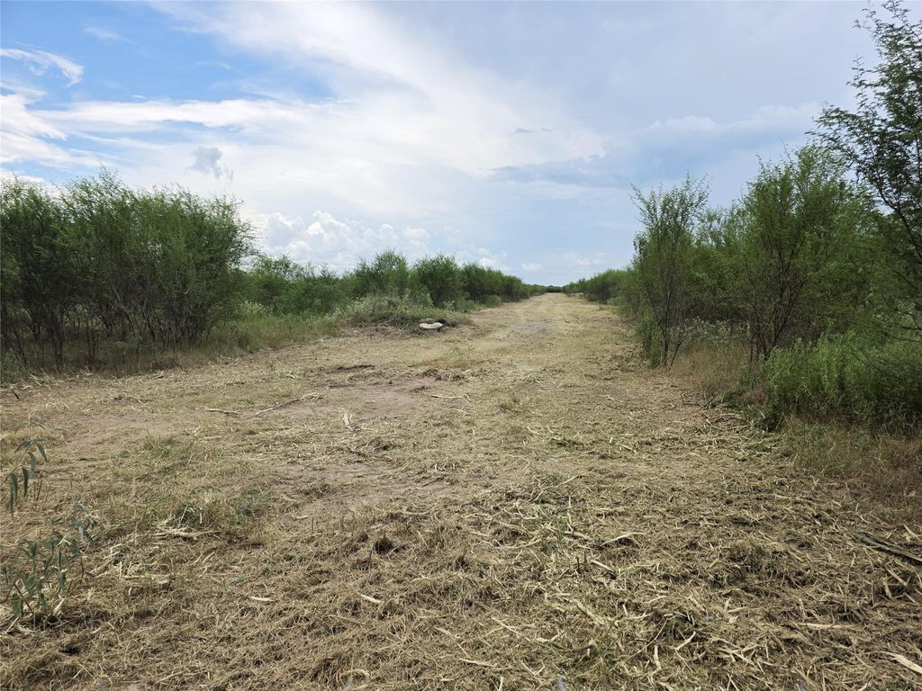 Photo of 36847 Richard Frey 1-19 Road, Hempstead, TX 77445 (MLS # 20333372)