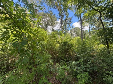 Photo of 26059 E Christine Drive, Splendora, TX 77372 (MLS # 71267099)