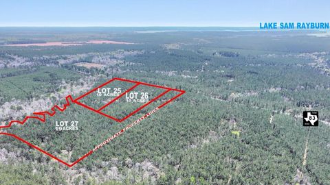 Vacant Land For Sale - 00 Fm 83<br/> San Augustine County, Bronson, TX 75930