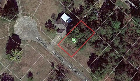Photo of 245 Deep Woods Lane, Livingston, TX 77351 (MLS # 88916463)