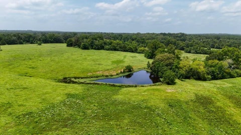 Photo of 0 Cr 2780, Colmesneil, TX 75938 (MLS # 81720822)