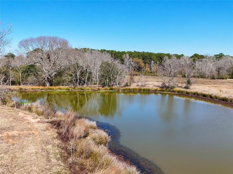 Vacant Land For Sale - 000 Cr 2780<br/> Colmesneil, TX 75938