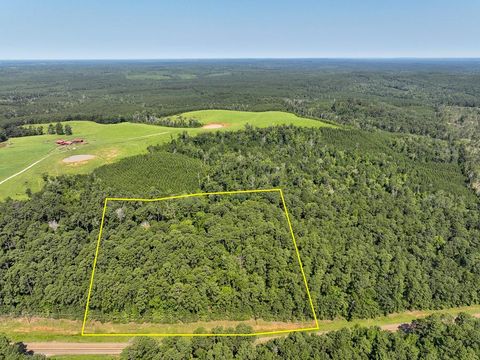 Vacant Land For Sale - 02 Highway 87<br/> Sabine County, Milam, TX 75959