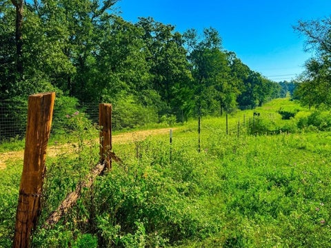 Photo of 13 I 45 Feeder, Buffalo, TX 75833 (MLS # 37930969)