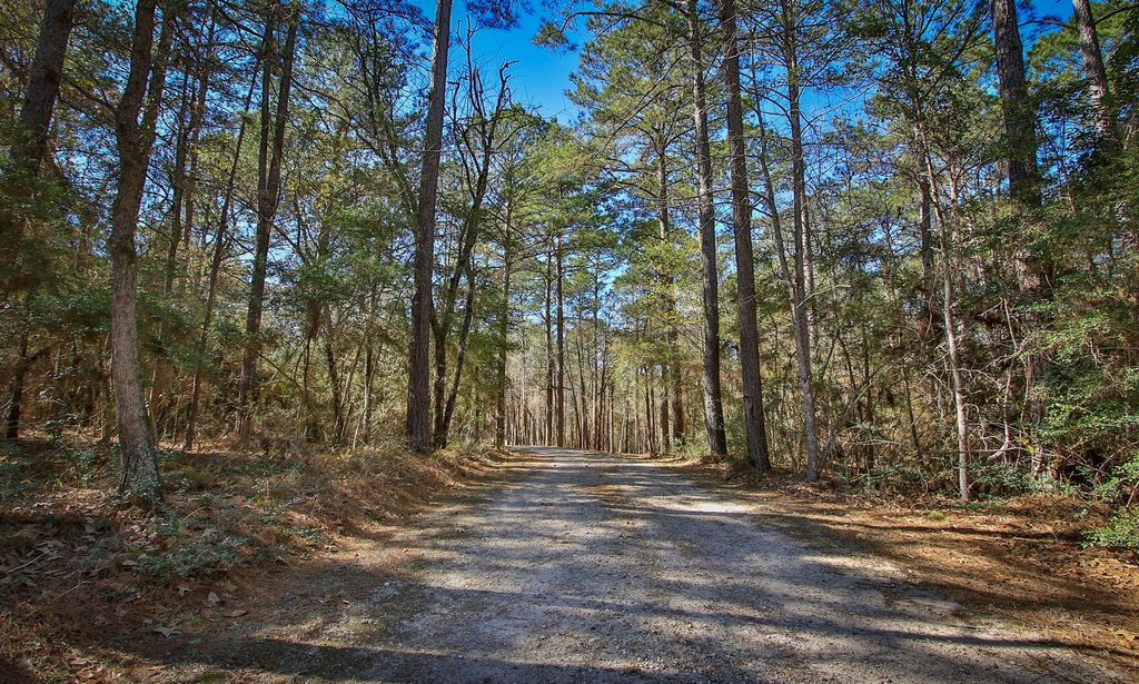 Photo of 1142 Fletcher, Anderson, TX 77830 (MLS # 12364160)