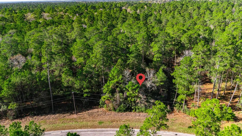 Photo of 6 Branding Iron Road, Huntsville, TX 77340 (MLS # 89765445)