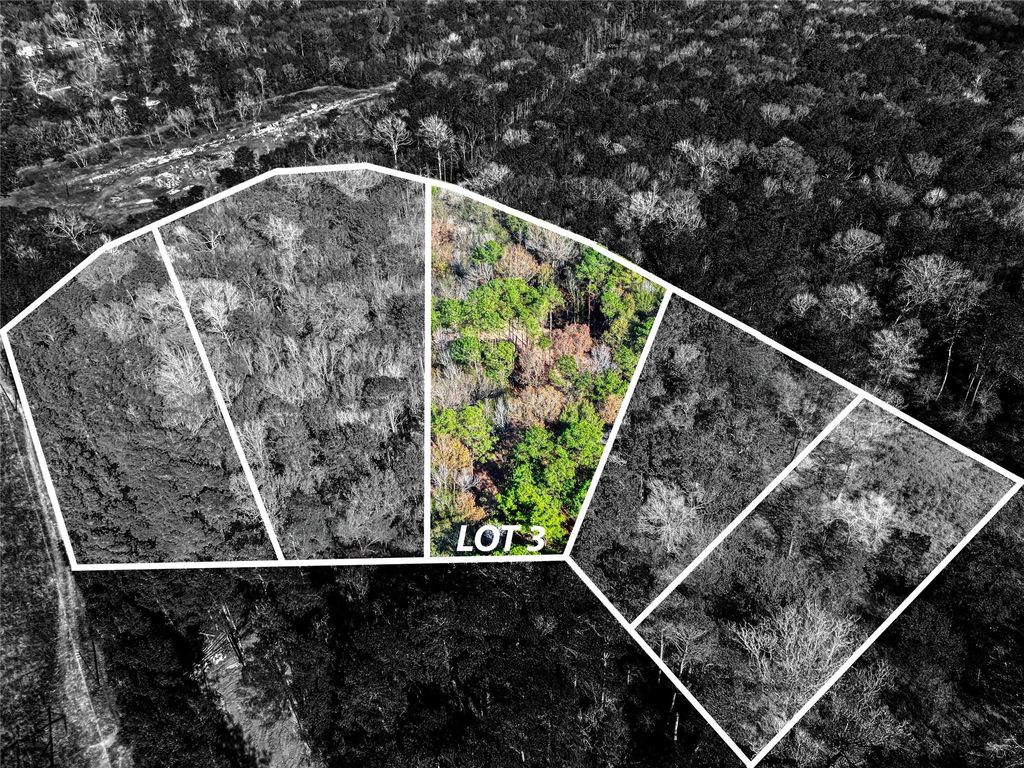 Photo of 0 Roman Forest Tbd, Roman Forest, TX 77357 (MLS # 64274050)