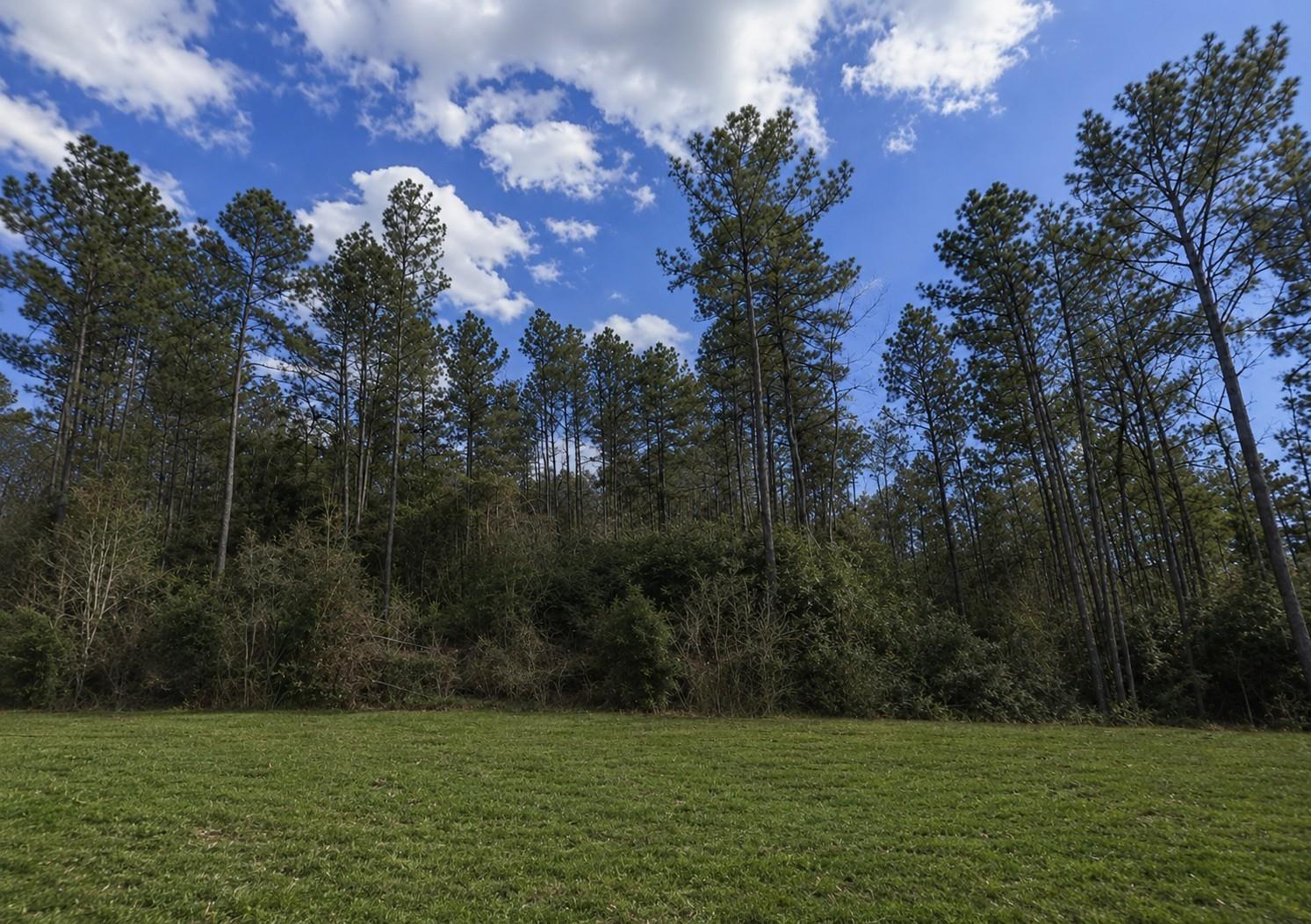 10711 Ruger Road